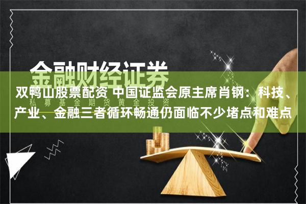 双鸭山股票配资 中国证监会原主席肖钢：科技、产业、金融三者循环畅通仍面临不少堵点和难点