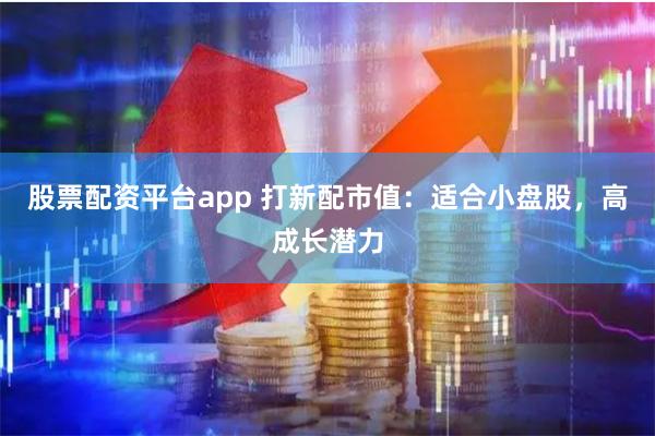 股票配资平台app 打新配市值:适合小盘股,高成长潜力