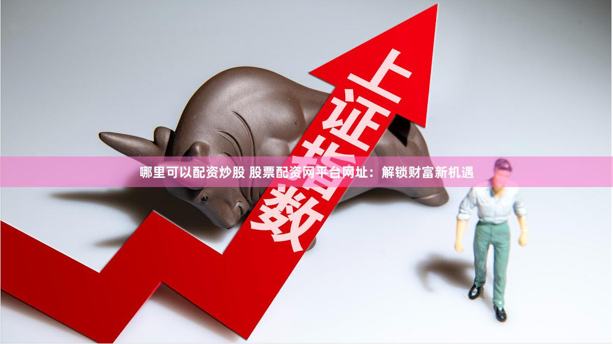 哪里可以配资炒股 股票配资网平台网址：解锁财富新机遇